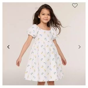 The posy perfect dress from Janie and Jack